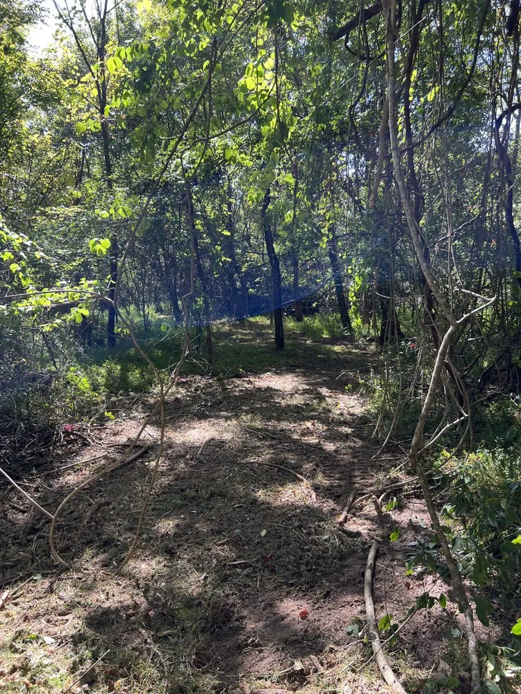 Reliable lawn care service with custom design in Winchester, TN by MOAB Mulching Services