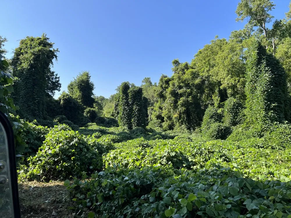 Trusted landscape design in Winchester, TN by MOAB Mulching Services