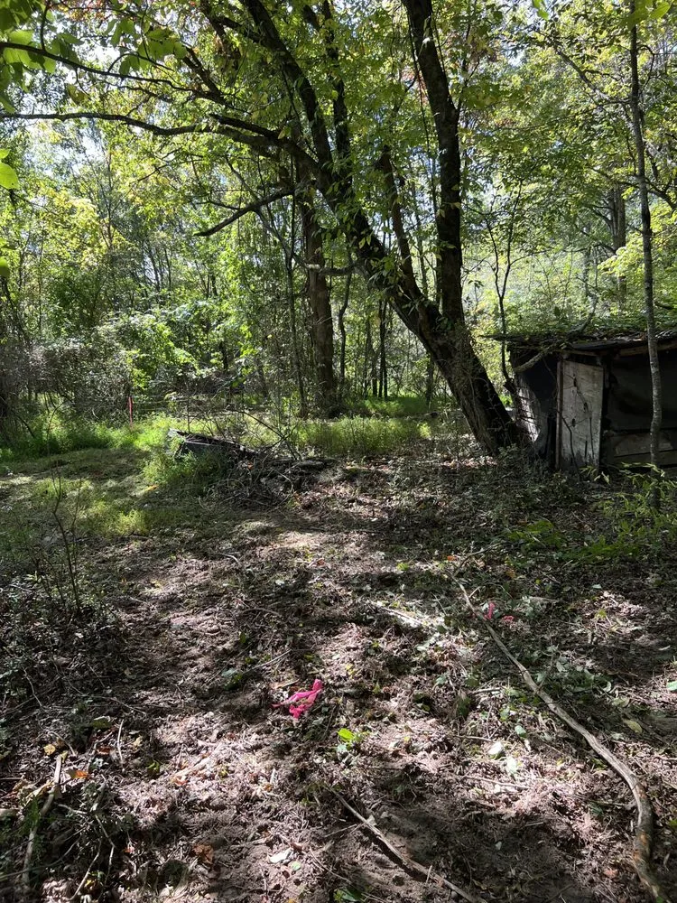 Professional yard maintenance for homes in Winchester, TN by MOAB Mulching Services