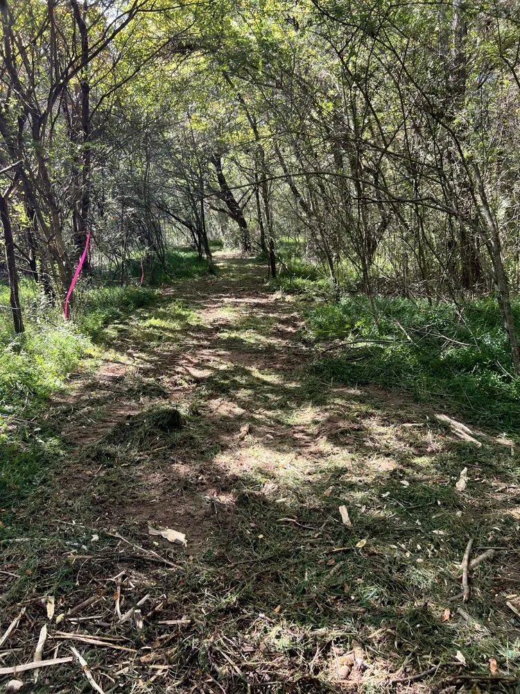 Local landscape design in Winchester, TN by MOAB Mulching Services