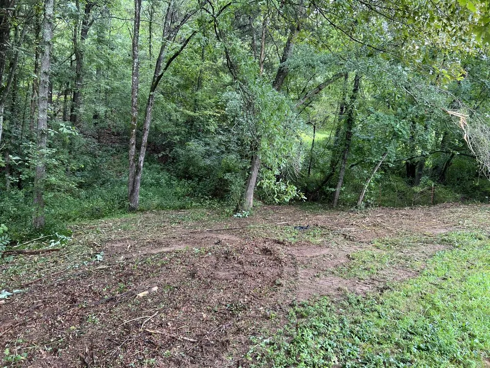 Affordable landscaping services in Winchester, TN - MOAB Mulching Services