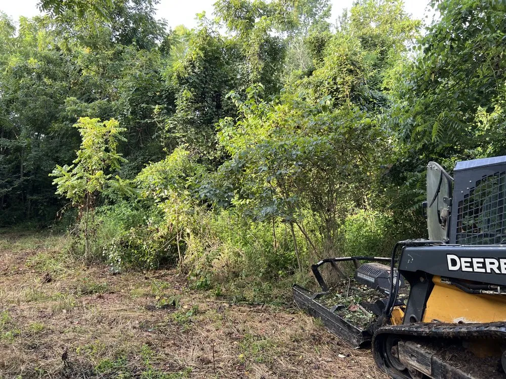 Expert outdoor landscaping in Winchester, TN - MOAB Mulching Services