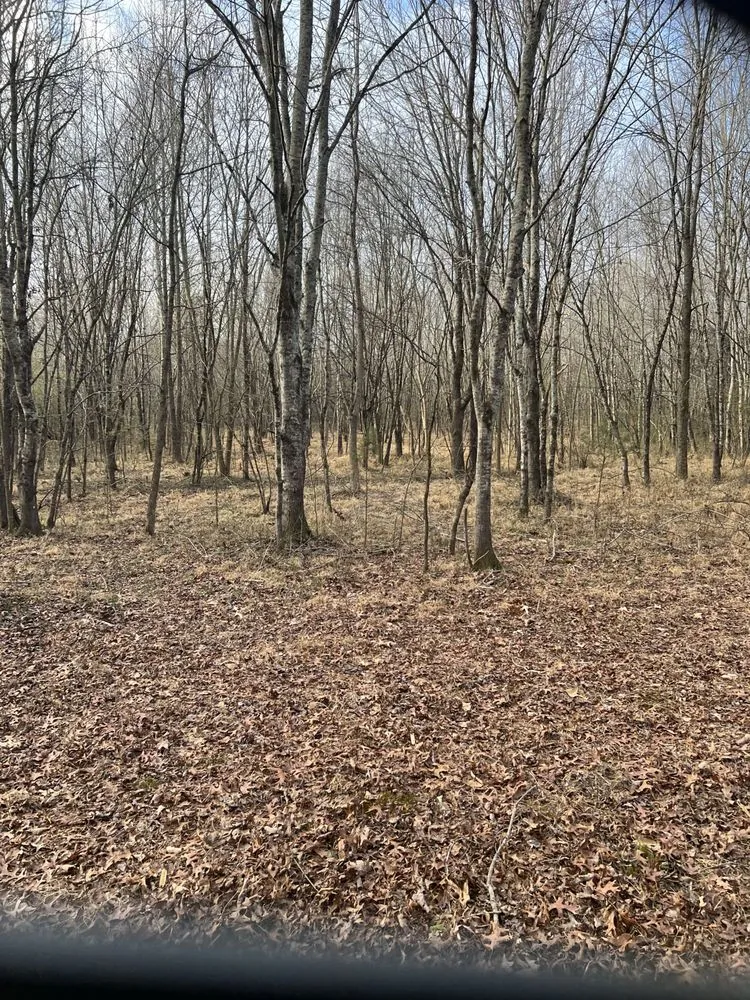 Professional landscape design in Winchester, TN - MOAB Mulching Services