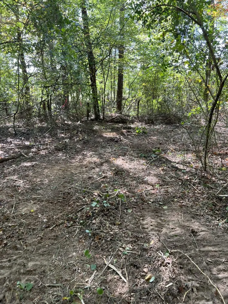 Local yard cleanup service for residential properties in Winchester, TN by MOAB Mulching Services