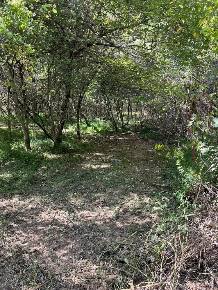 Local yard cleanup service in Winchester, TN by MOAB Mulching Services