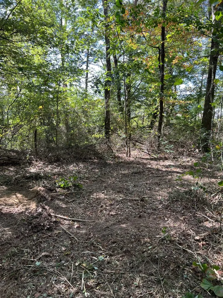 Local residential landscaping for homes in Winchester, TN by MOAB Mulching Services