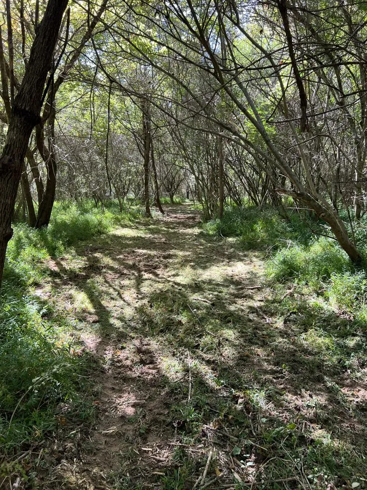 Top-rated landscaping services in Winchester, TN - MOAB Mulching Services