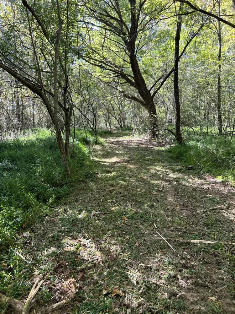 Top-rated outdoor landscaping for year-round maintenance in Winchester, TN by MOAB Mulching Services