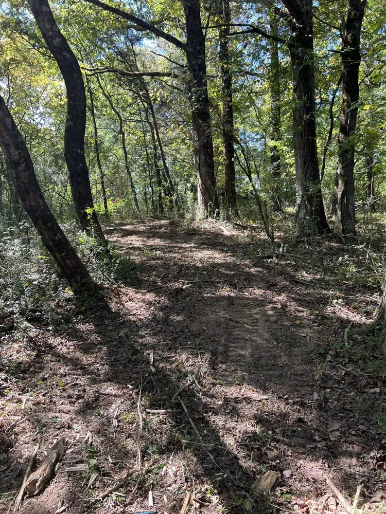 Expert lawn mowing service in Winchester, TN by MOAB Mulching Services