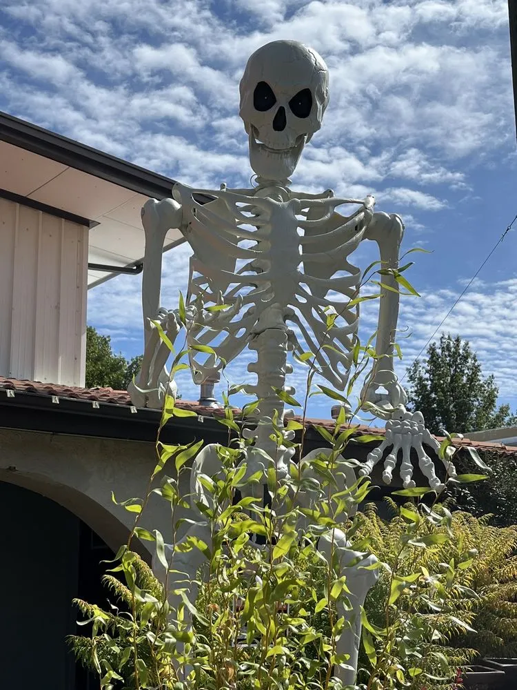 Reliable yard maintenance in Reno, NV by Moana Nursery