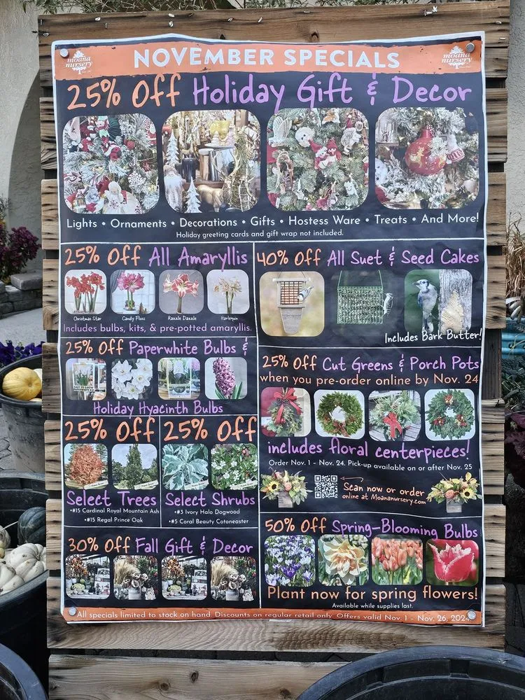 Top-rated yard cleanup service for residential properties in Reno, NV by Moana Nursery