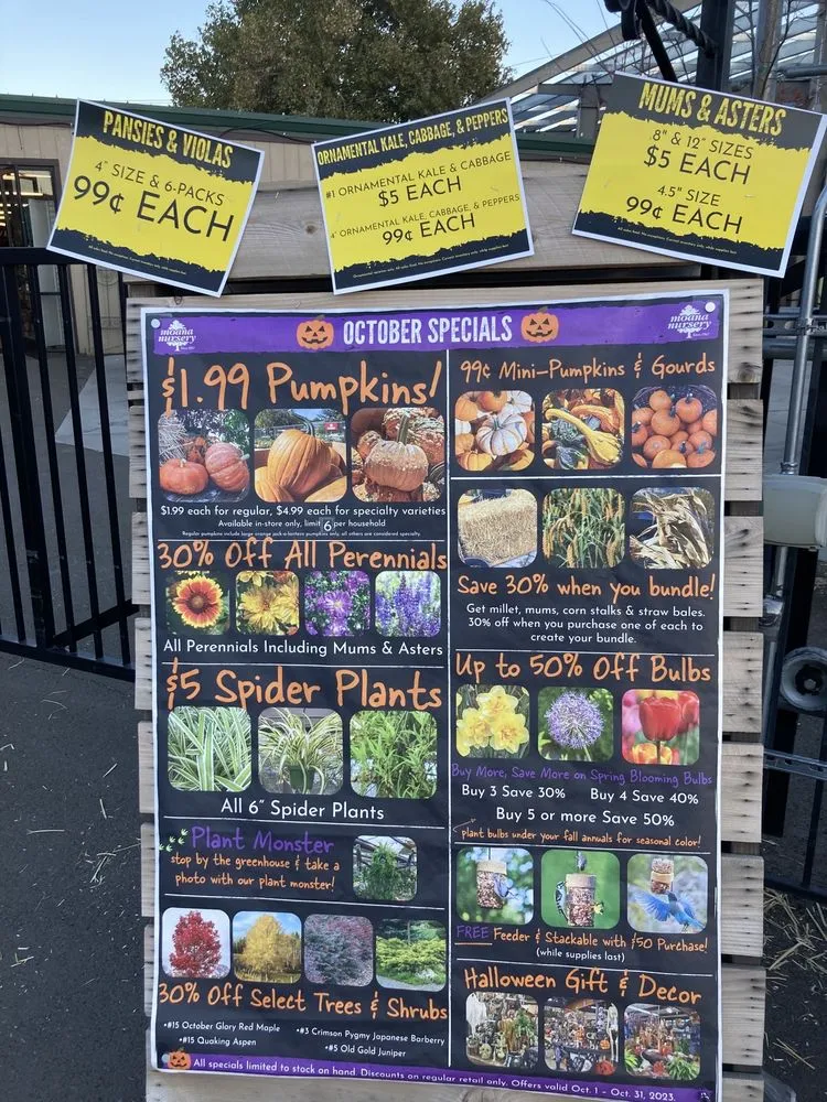 Top-rated landscape design for residential properties across Reno, NV - Moana Nursery