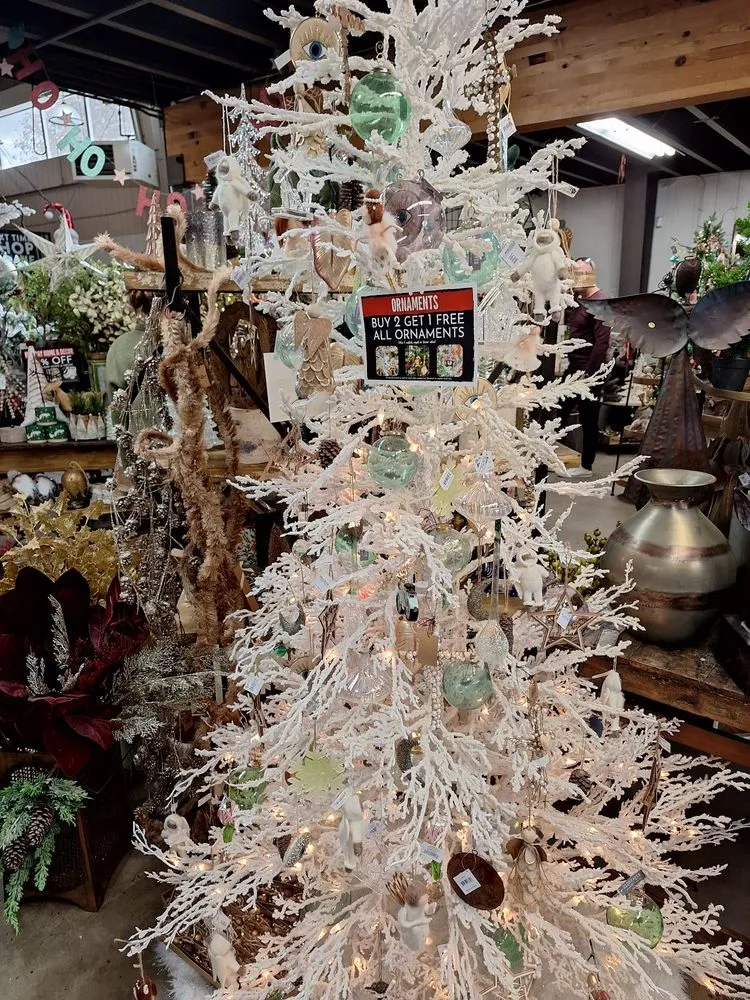 Top-rated lawn care service in Reno, NV - Moana Nursery