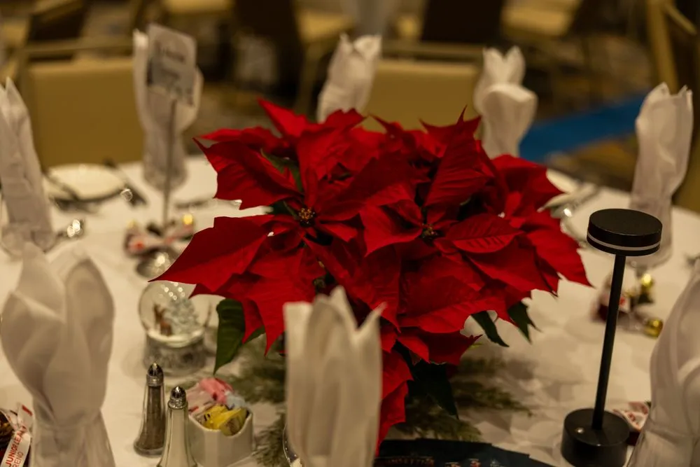 Local yard maintenance near you in Reno, NV by Moana Nursery