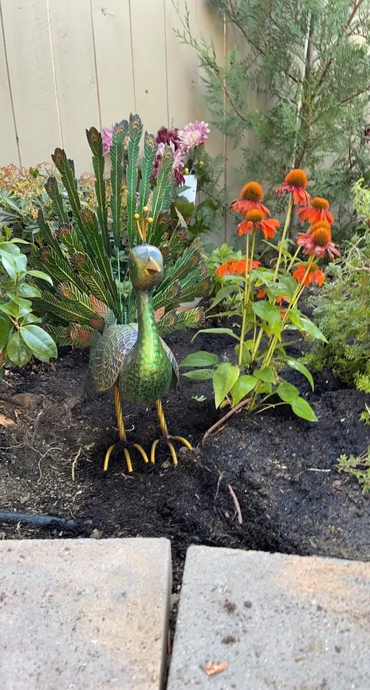 Reliable lawn mowing service for residential properties in Reno, NV by Moana Nursery