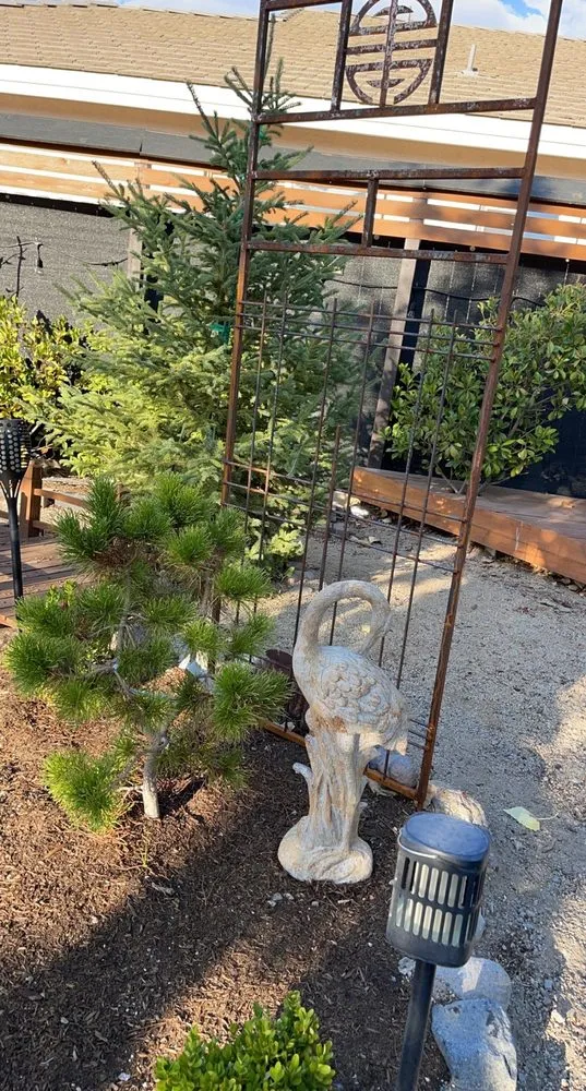 Trusted yard cleanup service for residential properties in Reno, NV by Moana Nursery