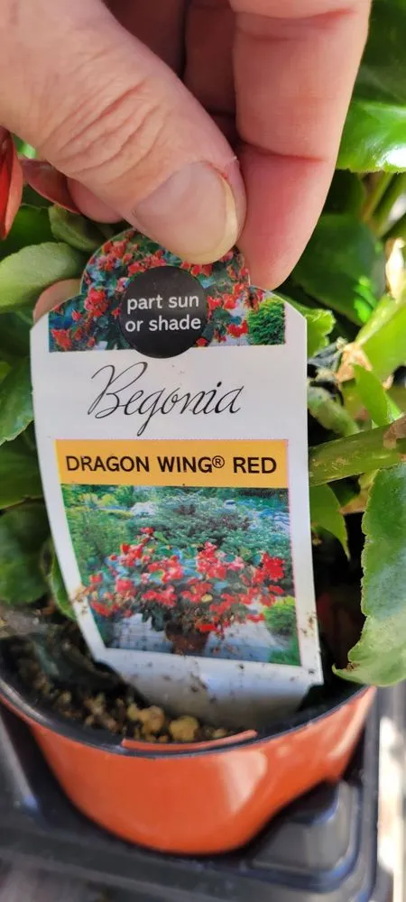 Expert garden landscaping for beautiful yards across Reno, NV - Moana Nursery