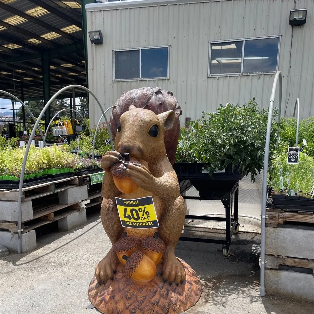 Local yard maintenance for outdoor upgrades across South Reno, NV - Moana Nursery