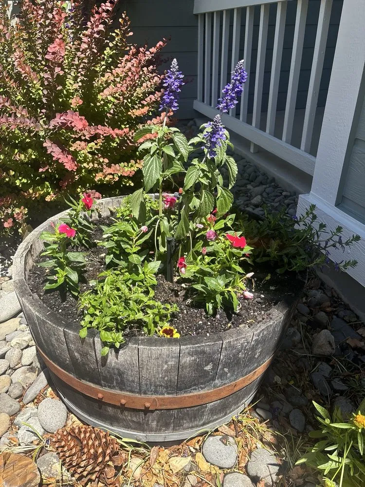 Expert landscape design experts serving South Reno, NV - Moana Nursery