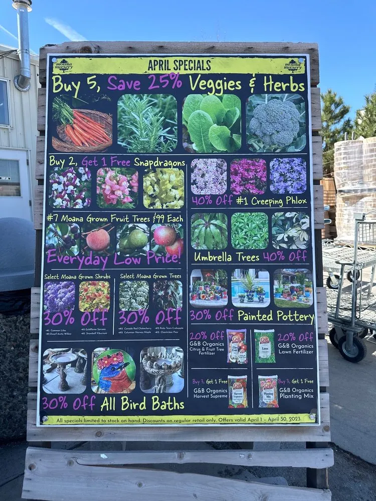 Professional yard cleanup service in South Reno, NV - Moana Nursery