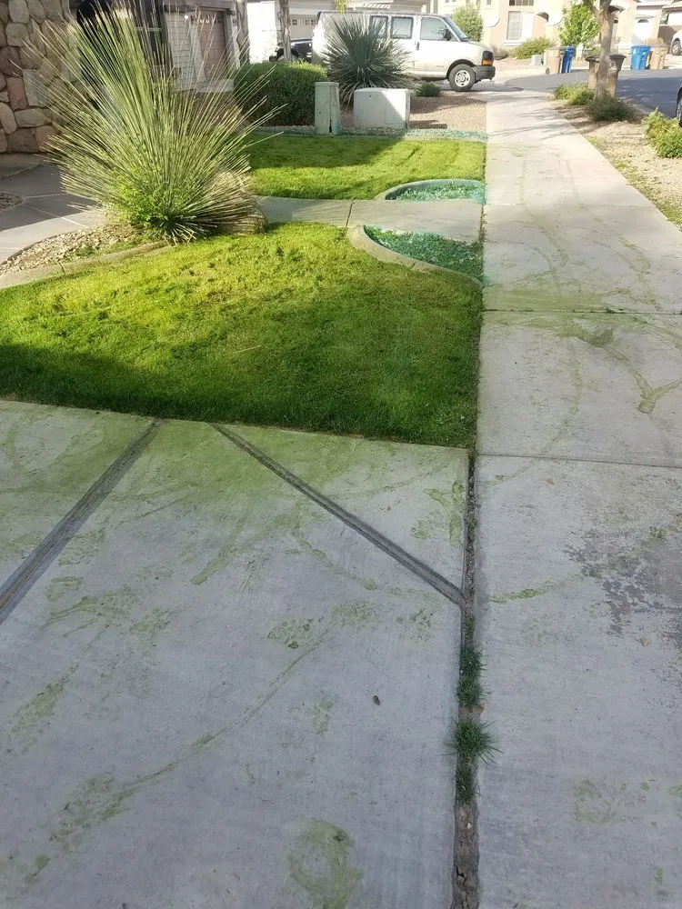 Top-rated landscape design in Gilbert, AZ - Moar Lawn & Landscape