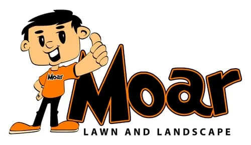 Affordable residential landscaping experts serving Gilbert, AZ - Moar Lawn & Landscape