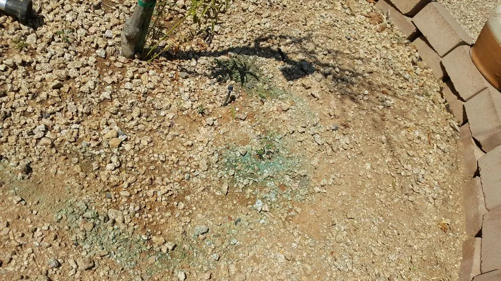 Local yard cleanup service in Gilbert, AZ by Moar Lawn & Landscape