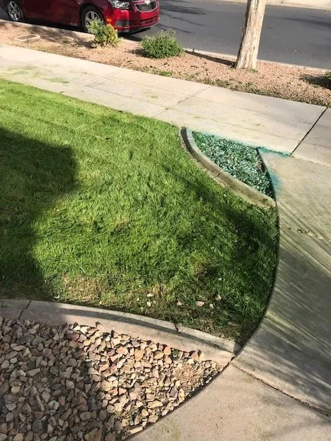 Local yard cleanup service for outdoor upgrades across Gilbert, AZ - Moar Lawn & Landscape