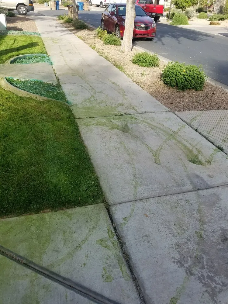 Affordable garden landscaping in Gilbert, AZ by Moar Lawn & Landscape