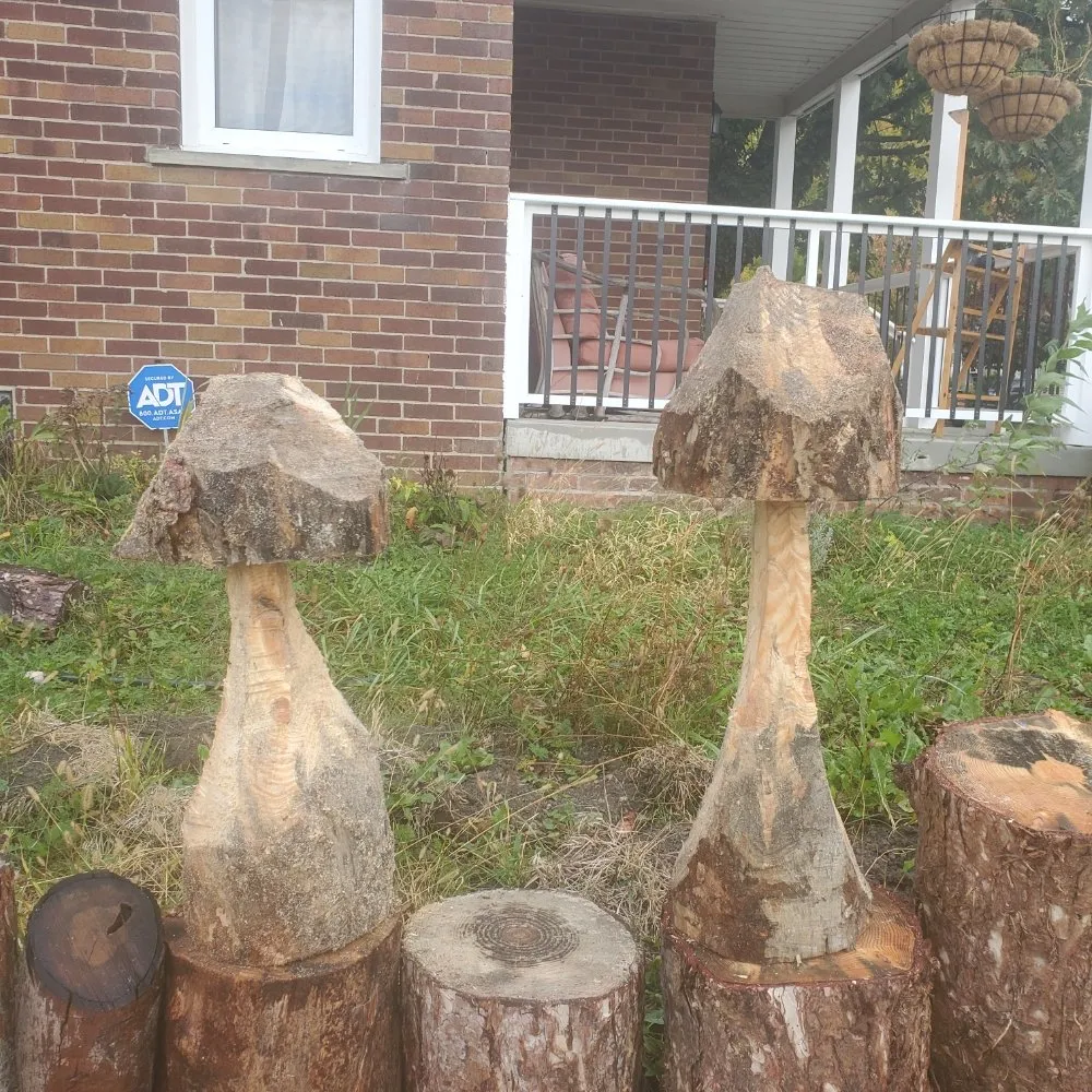 Affordable yard cleanup service in Detroit, MI by Mobile Milling in the Metro