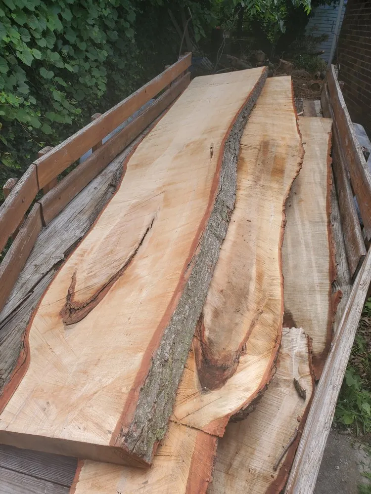 Local outdoor landscaping near you in Detroit, MI by Mobile Milling in the Metro