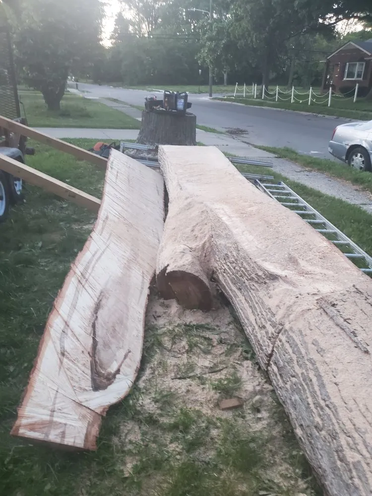 Affordable garden landscaping experts serving Detroit, MI - Mobile Milling in the Metro