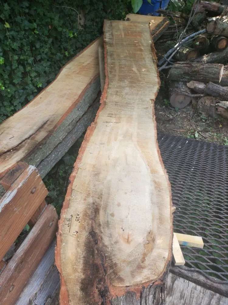 Professional outdoor landscaping in Detroit, MI - Mobile Milling in the Metro