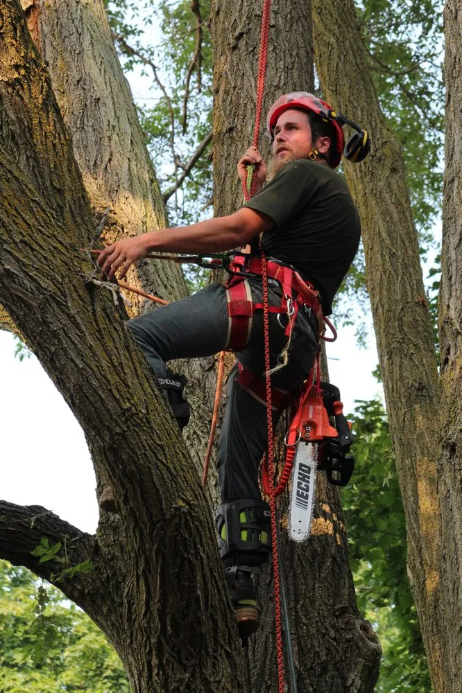 Local landscape design in Detroit, MI - Mobile Milling in the Metro