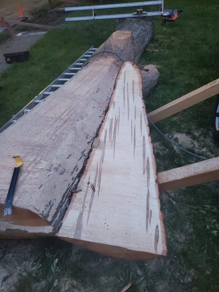 Reliable landscape design with custom design in Detroit, MI by Mobile Milling in the Metro