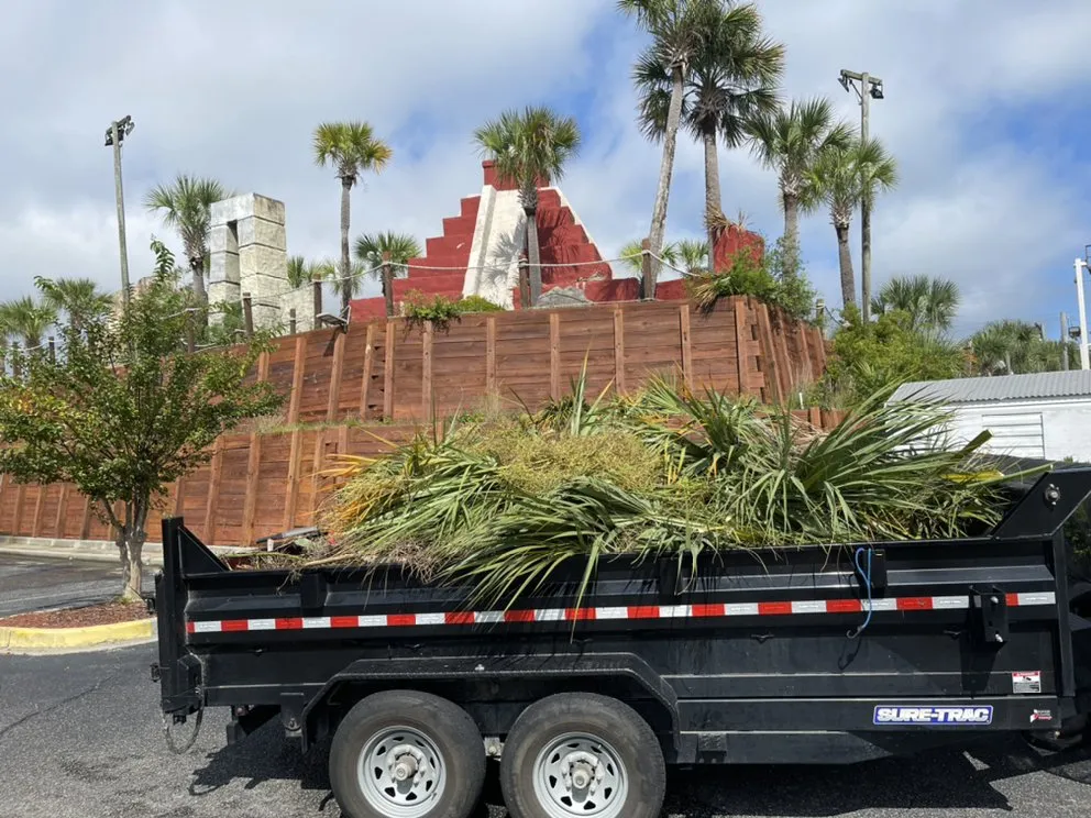 Local outdoor landscaping near you in Conway, SC by Mobile Pro Clean