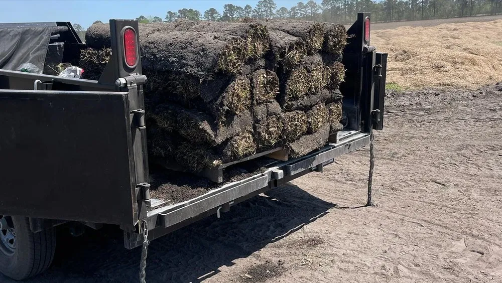 Professional outdoor landscaping in Conway, SC - Mobile Pro Clean