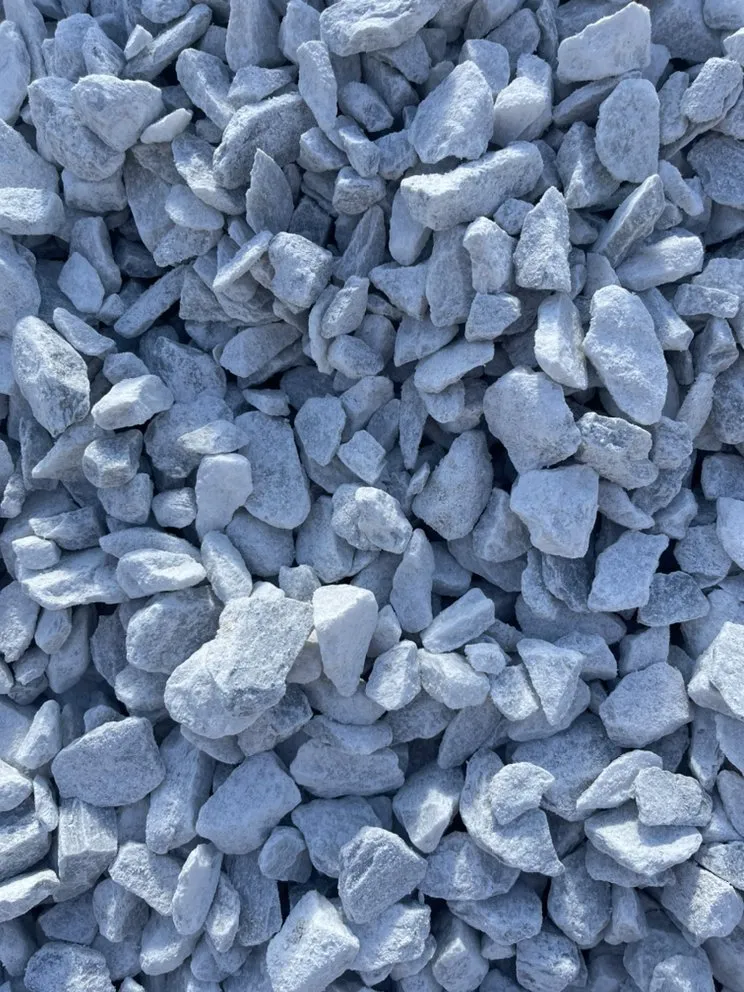 Expert yard cleanup service experts serving Conway, SC - Mobile Pro Clean