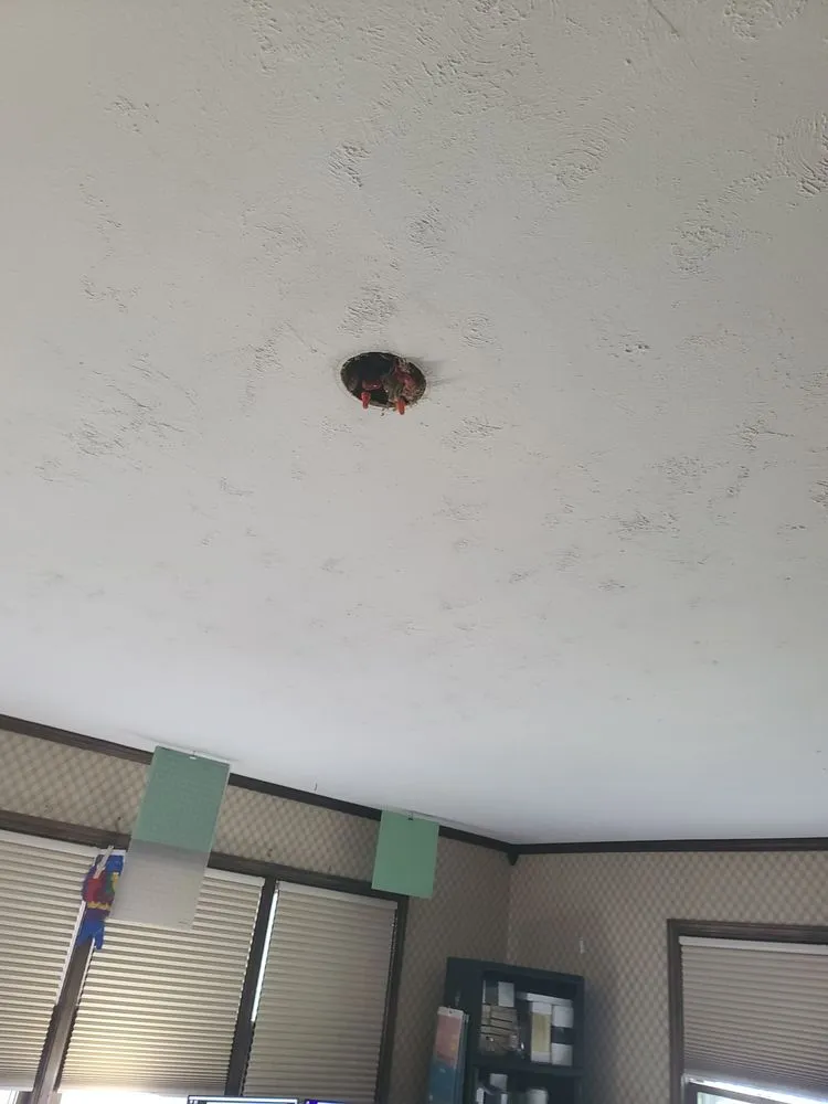 Top-rated lawn mowing service for beautiful yards across Lexington, KY - Mobile Services Handyman Home Improvements