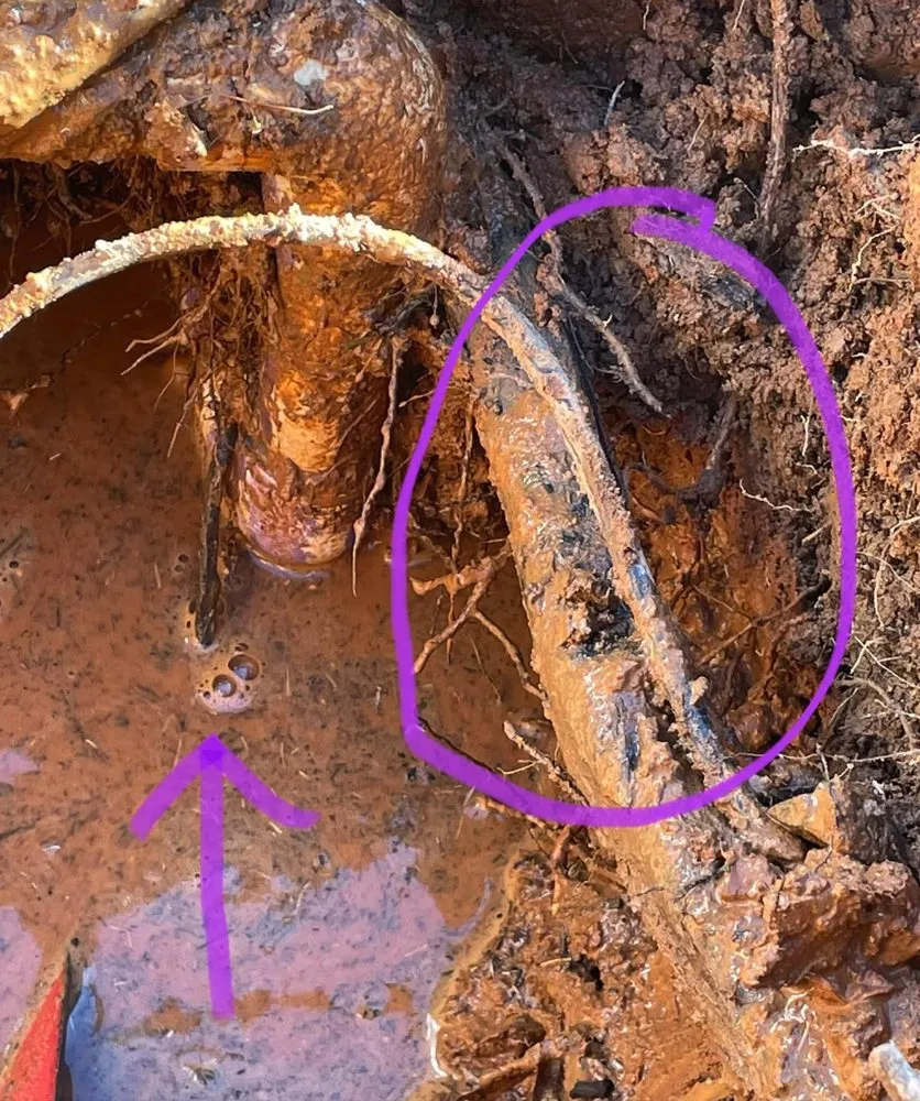 Professional yard cleanup service experts serving Augusta, GA - Mobley Irrigation Landscape Construction