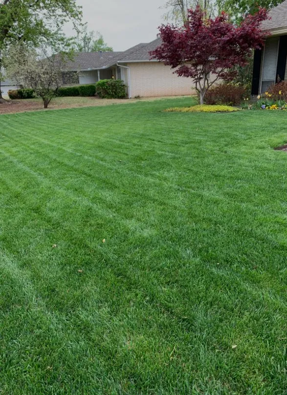 Trusted outdoor landscaping for residential properties across Longs, SC - MoBros