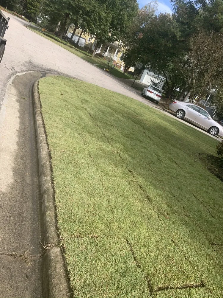 Trusted landscape installation in Garner, NC - Mocho Lawn Care and Landscaping