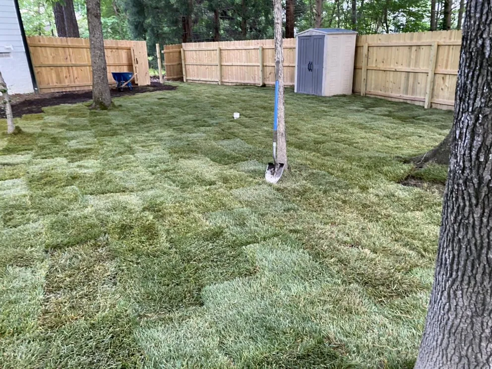 Affordable landscaping services in Garner, NC - Mocho Lawn Care and Landscaping