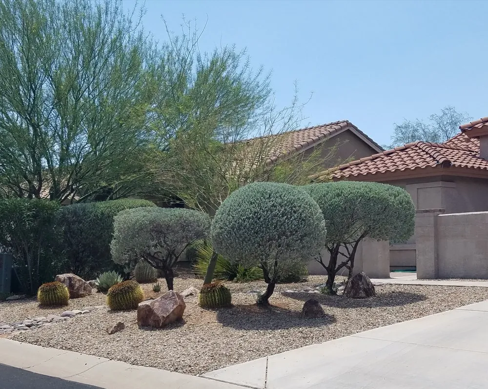 Local lawn care service for outdoor upgrades across Sahuarita, AZ - Mochomo's Landscape