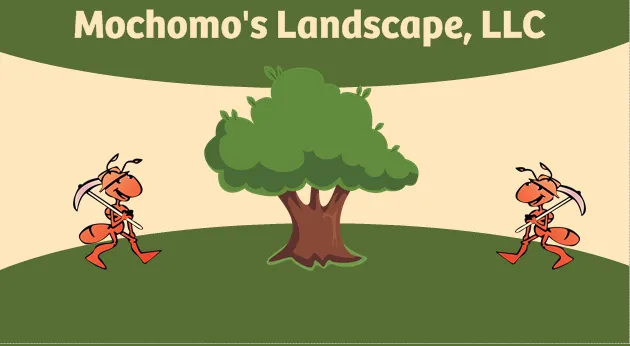 Trusted landscape design for outdoor upgrades in Sahuarita, AZ by Mochomo's Landscape
