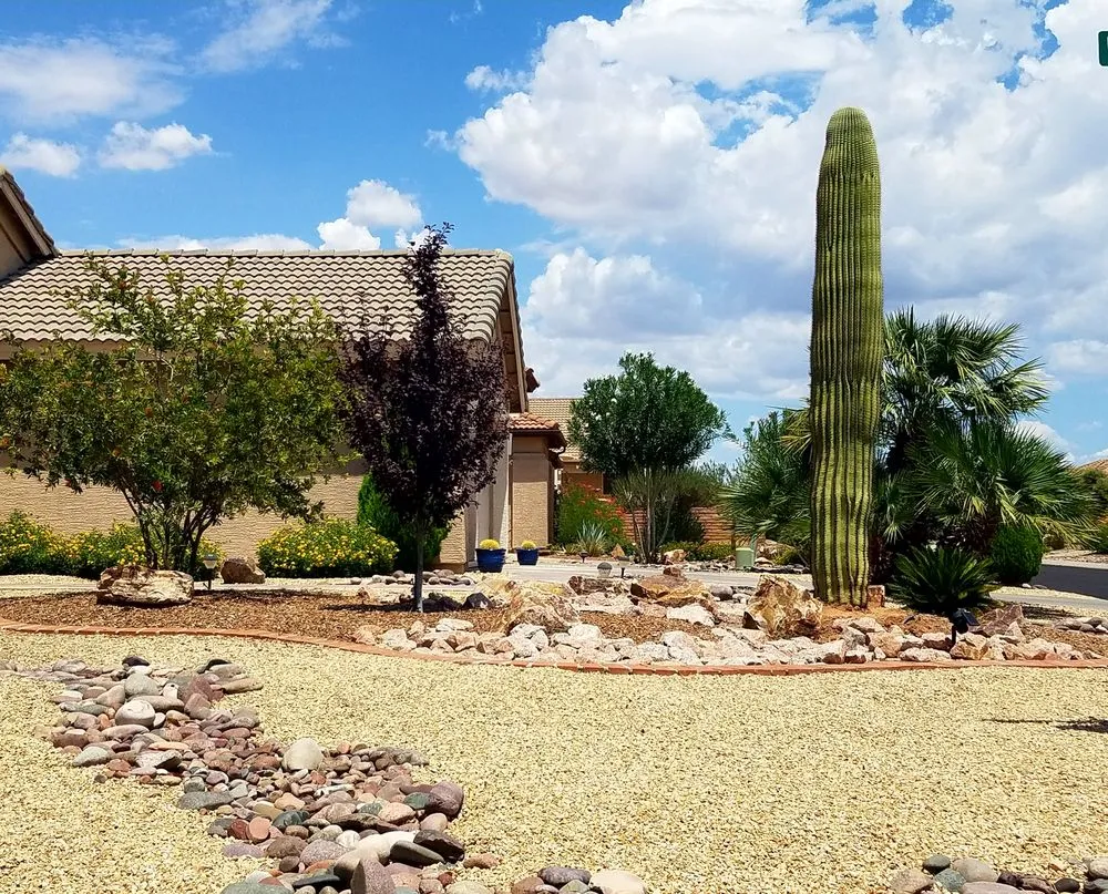 Trusted yard maintenance for residential properties across Sahuarita, AZ - Mochomo's Landscape