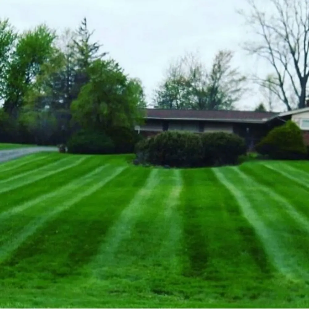 Expert yard cleanup service experts serving Cleveland, OH - Mock Ohio Landscaping