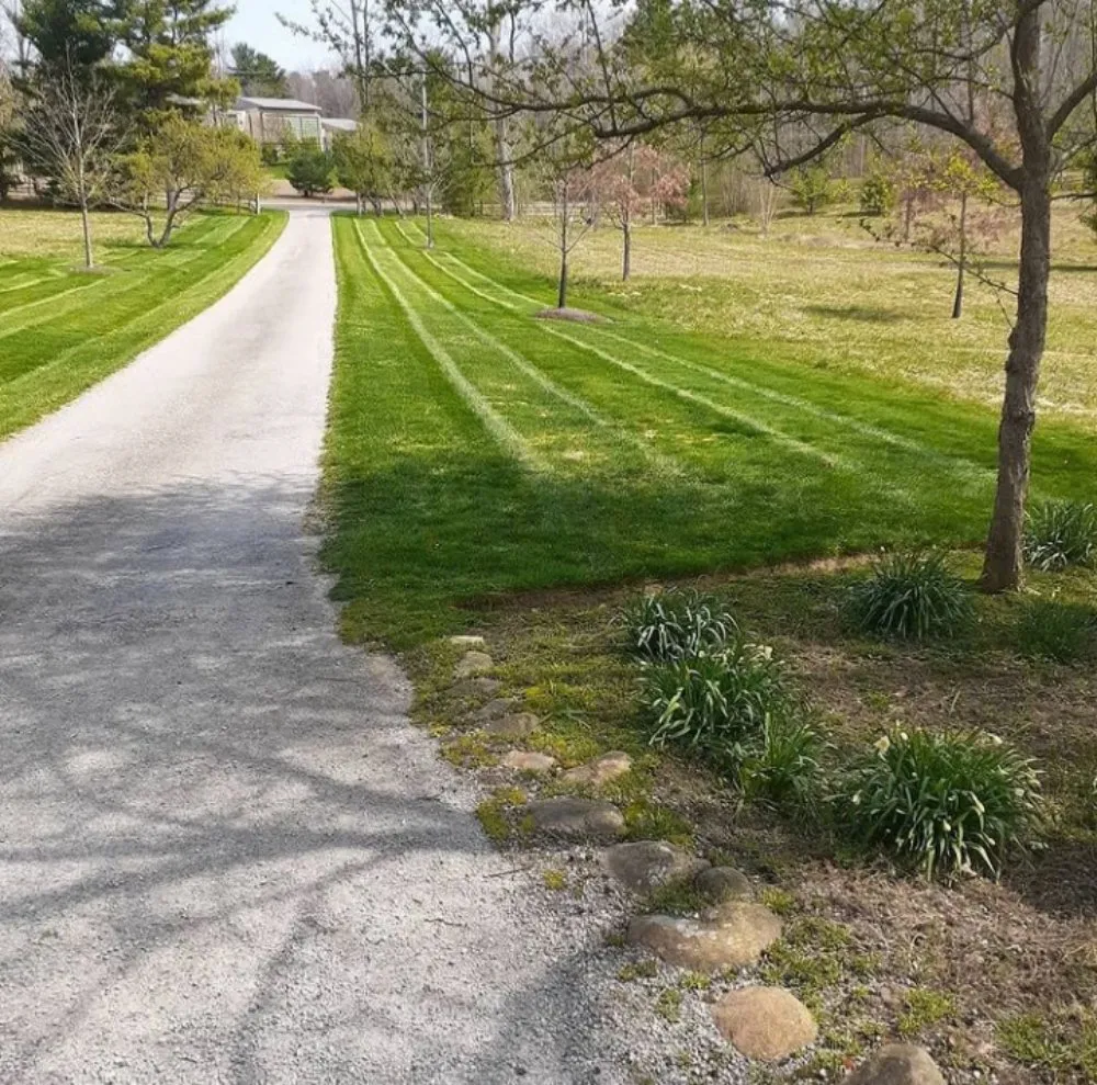 Affordable yard maintenance in Cleveland, OH by Mock Ohio Landscaping