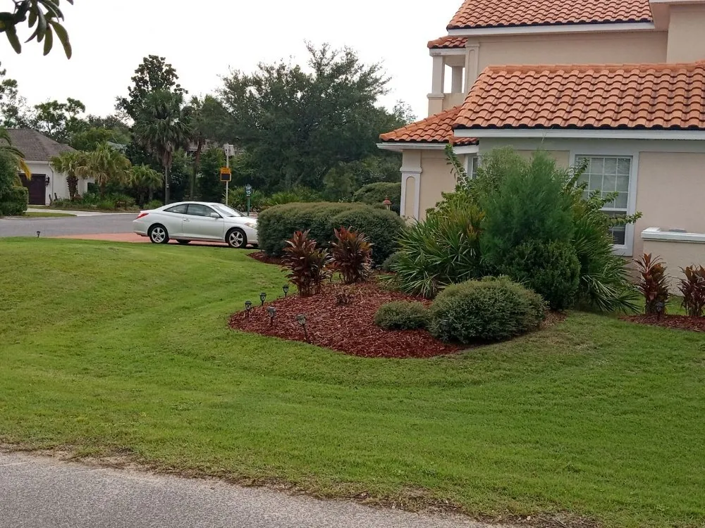 Reliable yard cleanup service in Panama City, FL by Mock One Services