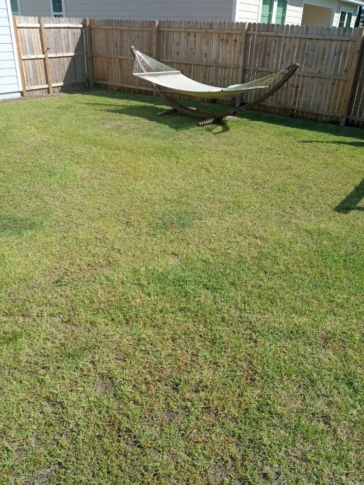 Professional landscape design for residential properties in Panama City, FL by Mock One Services